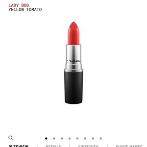 Mac cosmetics lipstick lustre lady bug a41